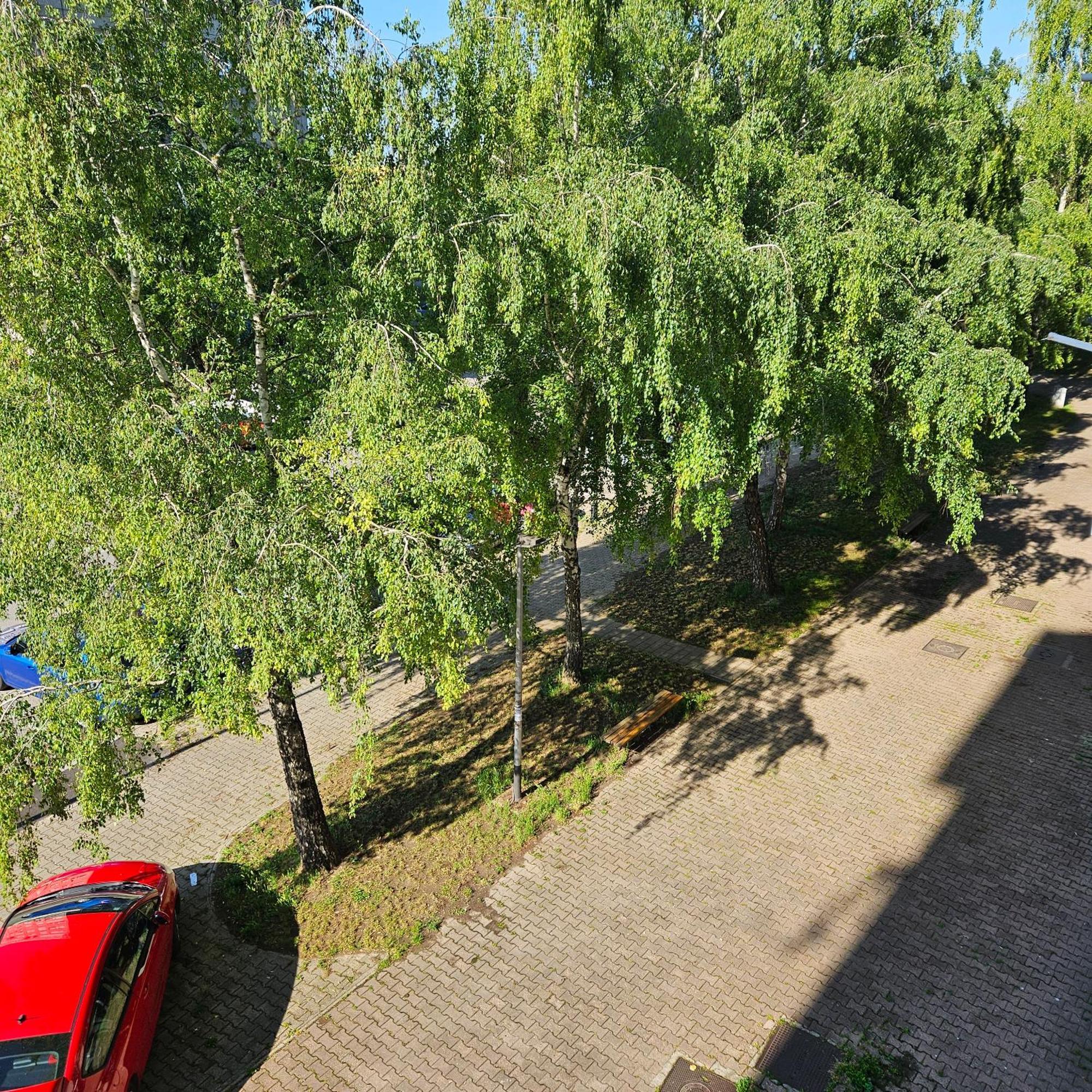 Apartman Dory ซาเกร็บ ภายนอก รูปภาพ